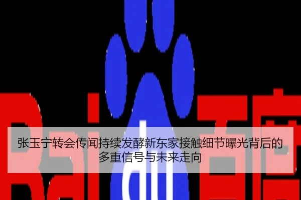 张玉宁转会传闻持续发酵新东家接触细节曝光背后的多重信号与未来走向