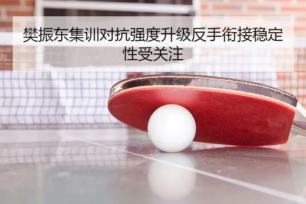 樊振东集训对抗强度升级反手衔接稳定性受关注